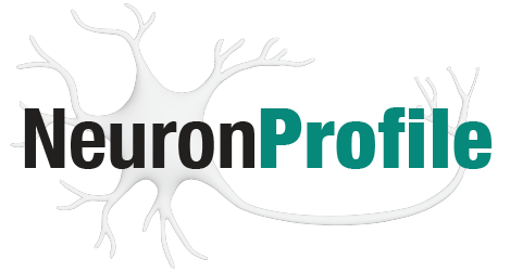 Neuron Profile